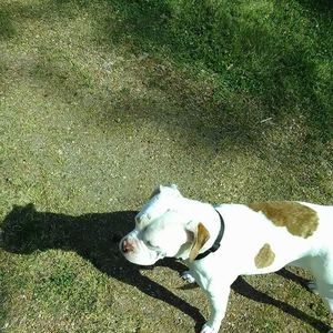 Meet your Posher, Lakendrick